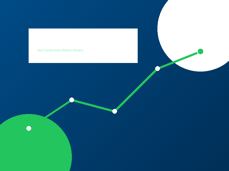 Credit Union Consulting